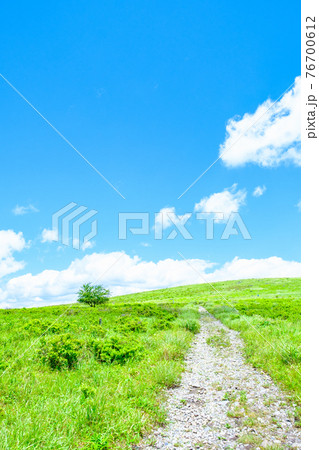車山高原の風景(夏) 車山高原の風景(夏) 76700612