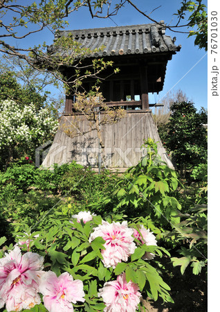 石光寺鐘楼 (奈良県葛城市) 石光寺鐘楼 (奈良県葛城市) 76701030