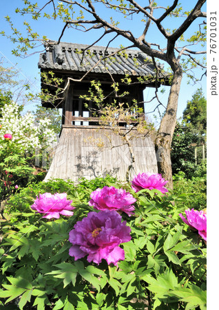 石光寺鐘楼 (奈良県葛城市) 石光寺鐘楼 (奈良県葛城市) 76701031