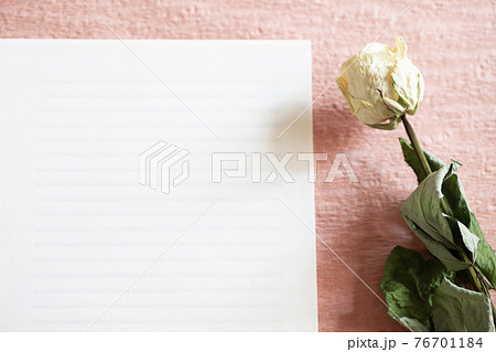 一輪の白いバラの花と便箋 愛の告白の写真素材