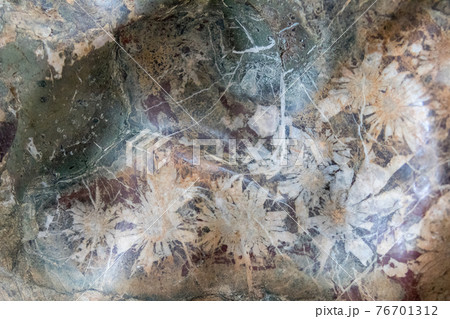 菊花石の模様の接写 菊花石の模様の接写 76701312