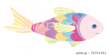 カラフルな魚のイラスト素材