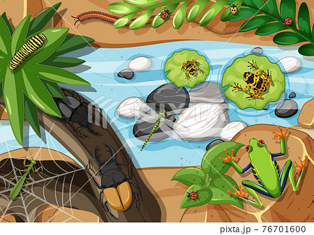 Top view of different types of frog in the rainforest 76701600