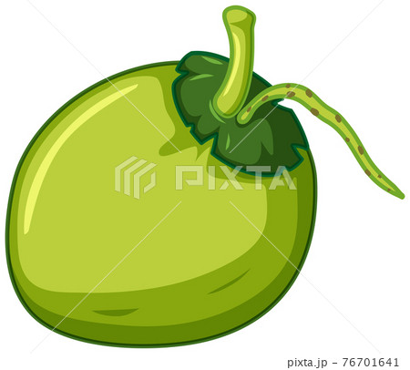 Simple coconut on white background Simple coconut on white background 76701641