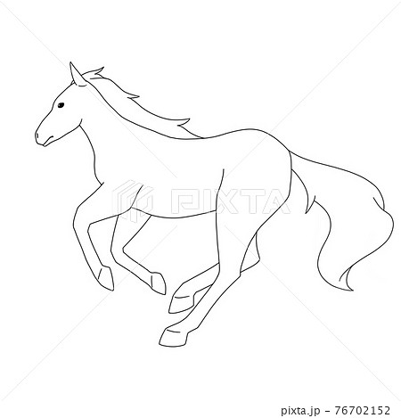 Horse Running Line Drawing Stock Illustration