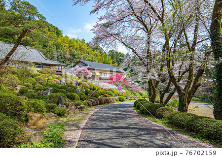 里山の春を彩る　慈光寺塔頭　霊山院　　　 76702159