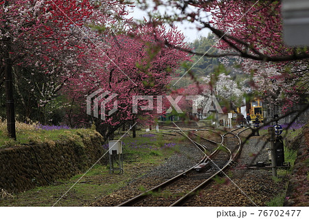 わたらせ渓谷鉄道(神戸駅) 76702477
