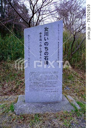 女川いのちの石碑・鷲神（宮城県女川町） 76702630