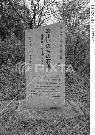 女川いのちの石碑・鷲神（宮城県女川町） 76702631