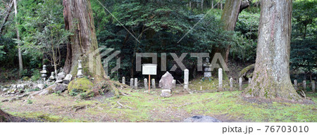 満願寺石塔群付杉群 満願寺石塔群付杉群 76703010