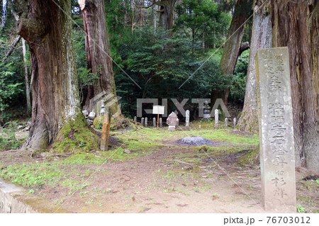 満願寺石塔群付杉群 満願寺石塔群付杉群 76703012