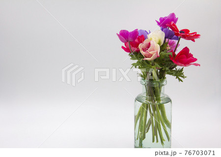 カラフルなアネモネの花 76703071