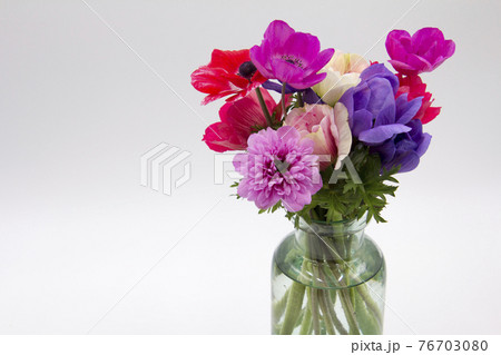 カラフルなアネモネの花 76703080