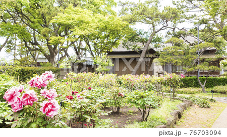神奈川県横浜市金沢区野島公園にある伊藤博文別邸の春 神奈川県横浜市金沢区野島公園にある伊藤博文別邸の春 76703094