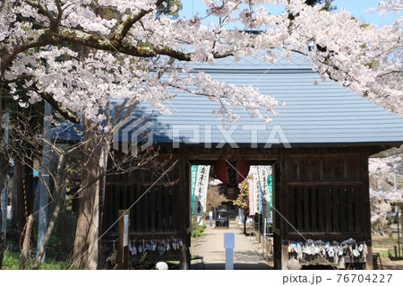 春の立木観音・山門(福島県・会津坂下町) 春の立木観音・山門(福島県・会津坂下町) 76704227