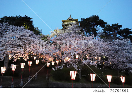 丸岡城 桜まつり（福井県 坂井市） 76704361