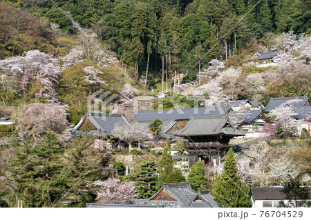 長谷寺 奈良県桜井市 長谷寺 奈良県桜井市 76704529