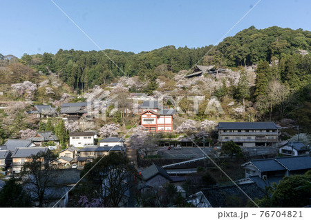 長谷寺 奈良県桜井市 76704821
