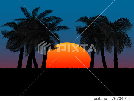 Graphics Image Coconut Tree With Sunset Or のイラスト素材