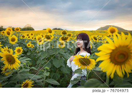 Happy enjoy summer girl in sunflower field in spring. Asian young woman joyful and smiling at sunset time Happy enjoy summer girl in sunflower field in spring. Asian young woman joyful and smiling at sunset time 76704975
