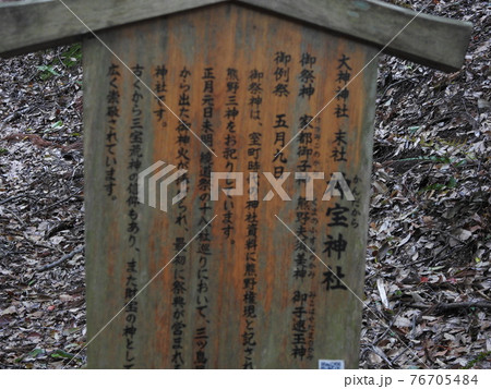 銀竜草 76705484