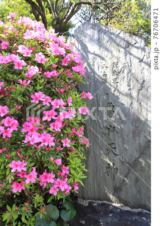 亀戸天神 鳥居 東京都江東区 亀戸天神 鳥居 東京都江東区 76706471