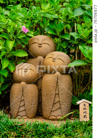 鎌倉 長谷寺 10月に咲くあじさいを愛でる良縁地蔵の写真素材