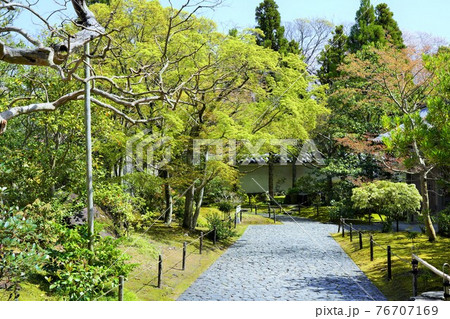 姫路城西御屋敷跡庭園「好古園」 76707169