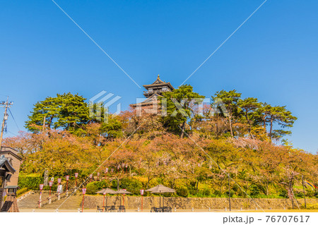 丸岡城 丸岡城 76707617