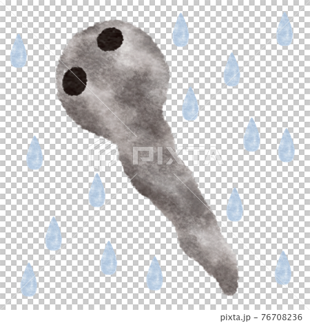 蝌蚪/雨 蝌蚪/雨 76708236