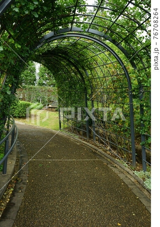 庭園に抜ける緑のトンネル 76708264