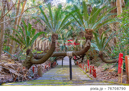 御崎神社の風景 76708790