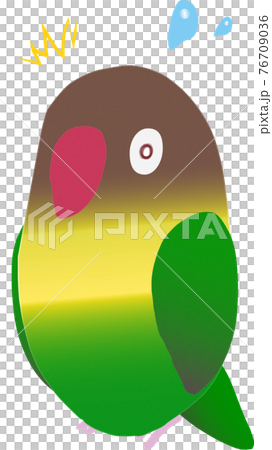 Yellow-collared lovebird surprised illustration 76709036