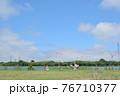 神之池公園 76710377