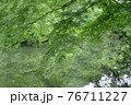 新録 76711227