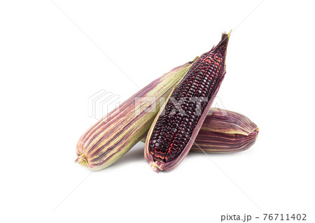 Red sweet corn or Siam Ruby Queen can be eaten fresh isolated on a white background. Red sweet corn or Siam Ruby Queen can be eaten fresh isolated on a white background. 76711402