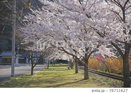 安野花の駅公園 76711627