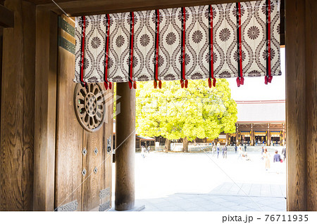(東京都ー都市風景)春の明治神宮南神門風景8 (東京都ー都市風景)春の明治神宮南神門風景8 76711935
