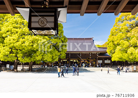 (東京都ー都市風景)青空の明治神宮南神門風景3 (東京都ー都市風景)青空の明治神宮南神門風景3 76711936