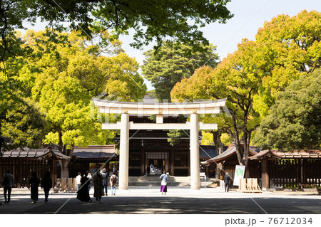 (東京都ー都市風景)春の明治神宮南玉垣鳥居風景1 (東京都ー都市風景)春の明治神宮南玉垣鳥居風景1 76712034