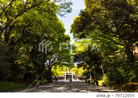 (東京都ー都市風景)春の明治神宮参道風景4 (東京都ー都市風景)春の明治神宮参道風景4 76712035