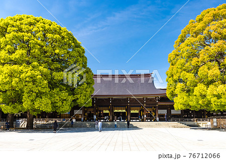 (東京都ー都市風景)青空の下の明治神宮1 (東京都ー都市風景)青空の下の明治神宮1 76712066