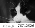 見つめる先に 76712526