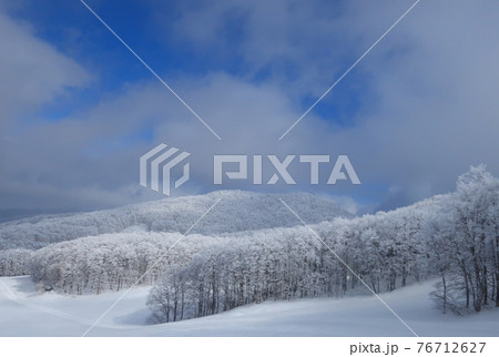 山形蔵王温泉スキー場の樹氷霧氷 山形蔵王温泉スキー場の樹氷霧氷 76712627