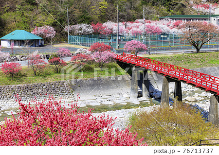 ハナモモ満開の昼神温泉 76713737