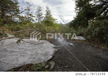 残雪の睡蓮沼 残雪の睡蓮沼 76715249