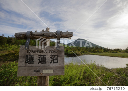 八甲田睡蓮沼の春 八甲田睡蓮沼の春 76715250