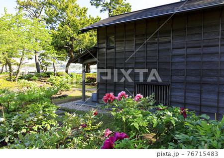 神奈川県横浜市金沢区野島公園にある伊藤博文別邸の春 神奈川県横浜市金沢区野島公園にある伊藤博文別邸の春 76715483