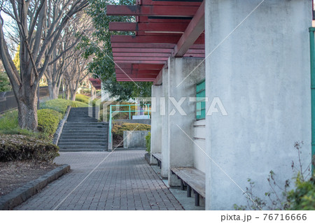 滝野川公園 テニスコート横/北区西ヶ原 滝野川公園 テニスコート横/北区西ヶ原 76716666