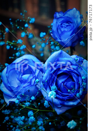 青い薔薇 76717173